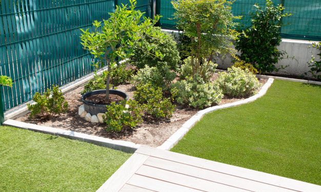 Cosa non deve mancare nel nostro giardino