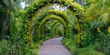 Tendenze giardino 2021: tutte le novità