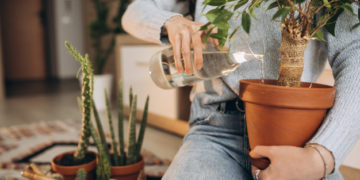 3 buoni motivi per prendersi cura di piante o giardino