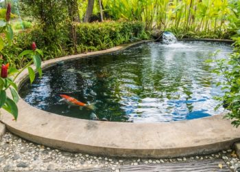 Come fare un laghetto o uno stagno da giardino