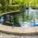 Come fare un laghetto o uno stagno da giardino