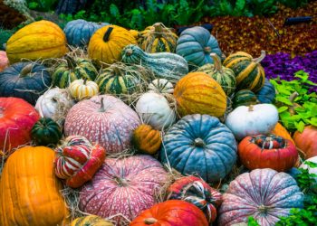 Autunno: idee per decorare la casa a tema