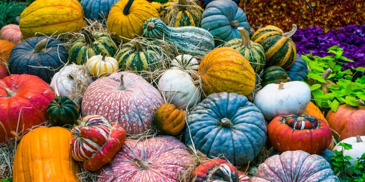 Autunno: idee per decorare la casa a tema