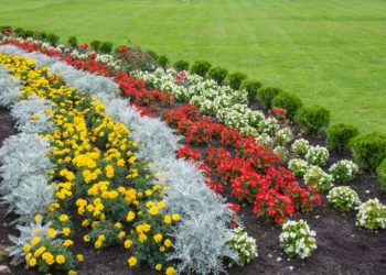 Come comporre delle aiuole