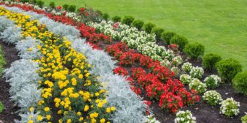 Come comporre delle aiuole