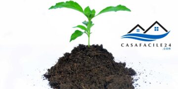 I Vantaggi del Fare l’Humus in Casa: Un’Alternativa Eco-Sostenibile