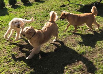 Primavera è tempo di prevenzione!