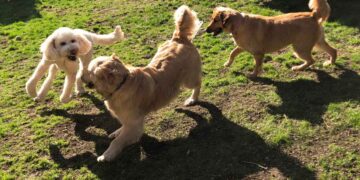 Primavera è tempo di prevenzione!