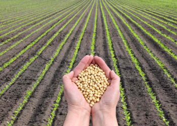 Plantvoice e l’agricoltura connessa: il futuro della gestione agricola