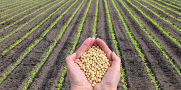 Plantvoice e l’agricoltura connessa: il futuro della gestione agricola