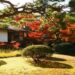 Colori e Calore: Come rendere il tuo giardino meraviglioso per l’autunno